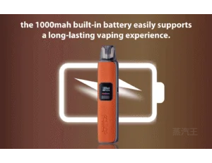 DOTMOD佩特里DOTPOD S PRO 35W電子煙主機空倉煙彈