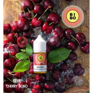 BIBO經典系列電子煙主機小煙油30ML